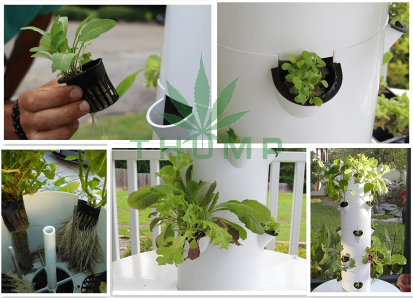 Aeroponic Tower Garden Towers_vertical Aeroponic Tower