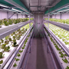 Shipping Container Farm