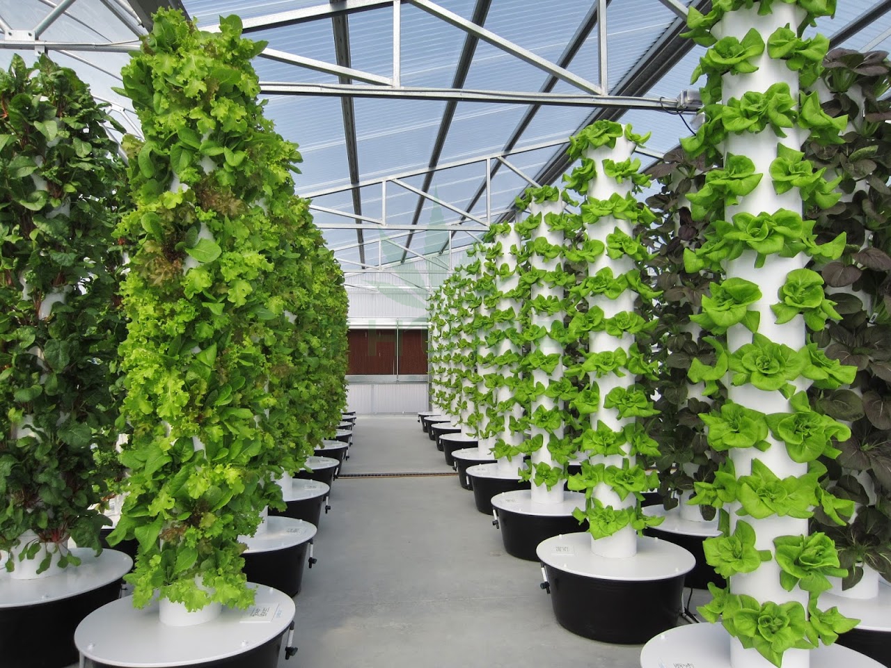 Indoor Tower Garden Aeroponic Systems For Sale