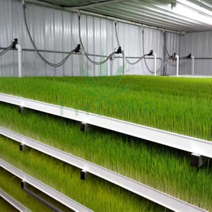 Commercial Growing Barley Fodder Systems for Sale