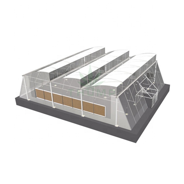 Greenhouse for Hydroponic Growing