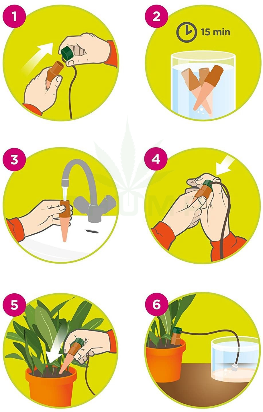 SelfWatering Stake System Thump Supplies