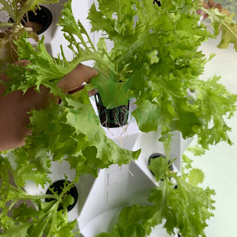 Vertical Aeroponics Tower Garden Growing Systems Kit